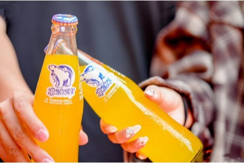 媒体管家|北极熊大挑战:北冰洋携手欧乐堡动物王国守护冰川