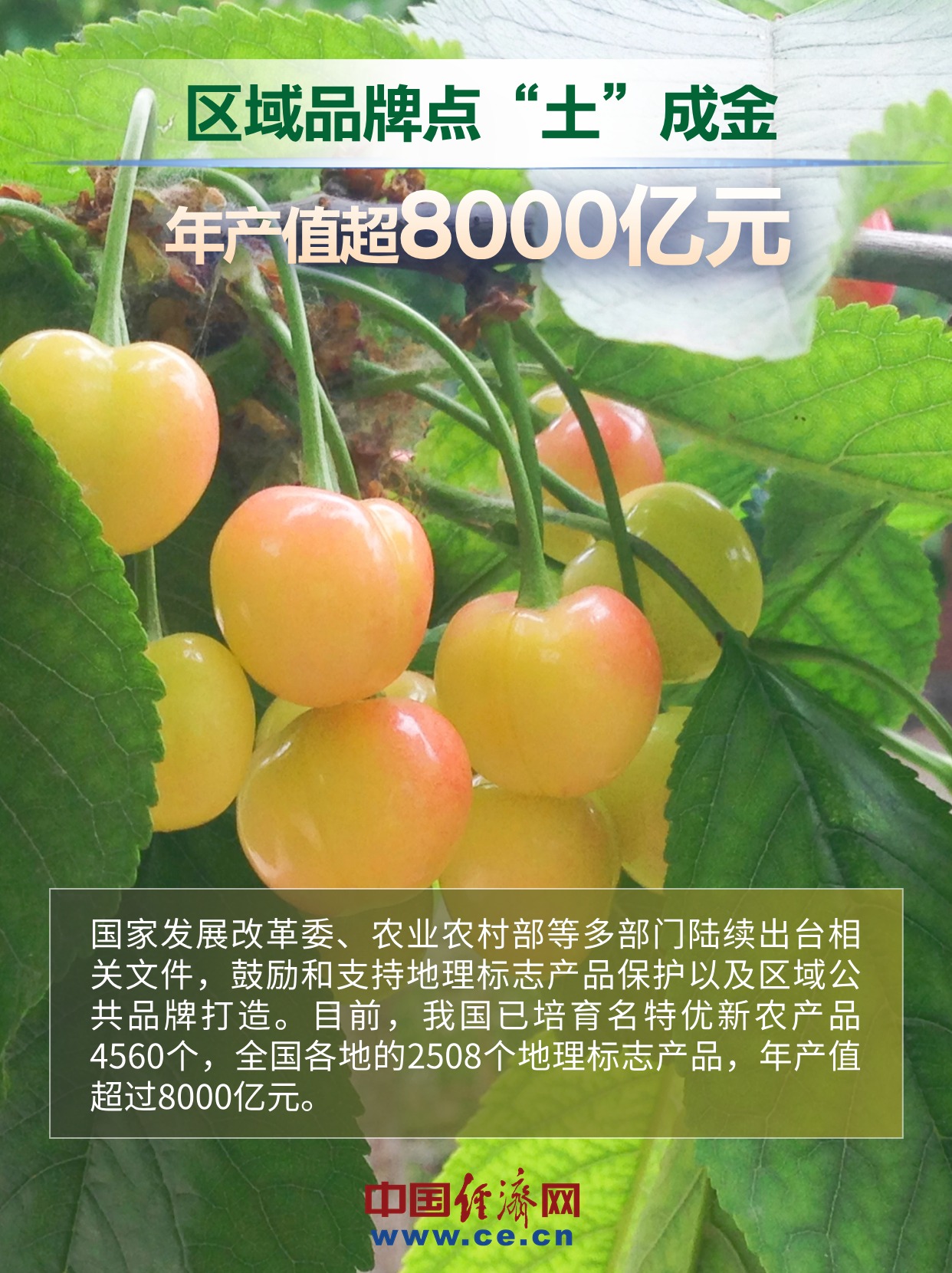 【组图】7组数据透视中国品牌新势能(图4) 【组图】7组数据透视中国品牌新势能(图4)