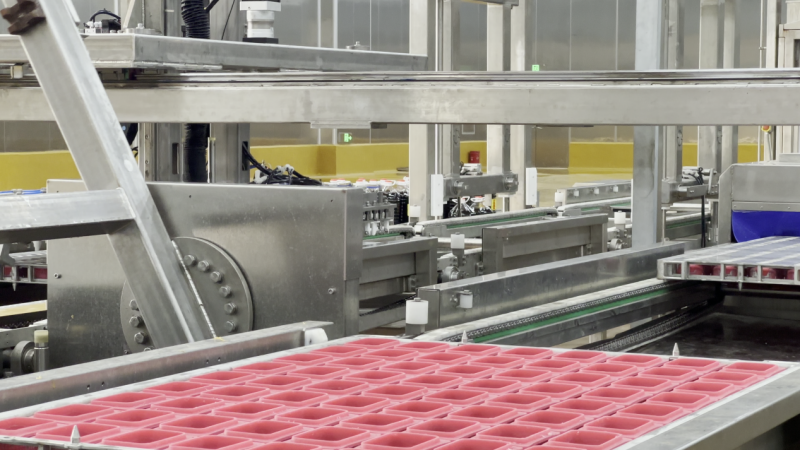 双认证加持！沈师傅食品以硬核实力，领航鸡蛋营养新赛道(图3)