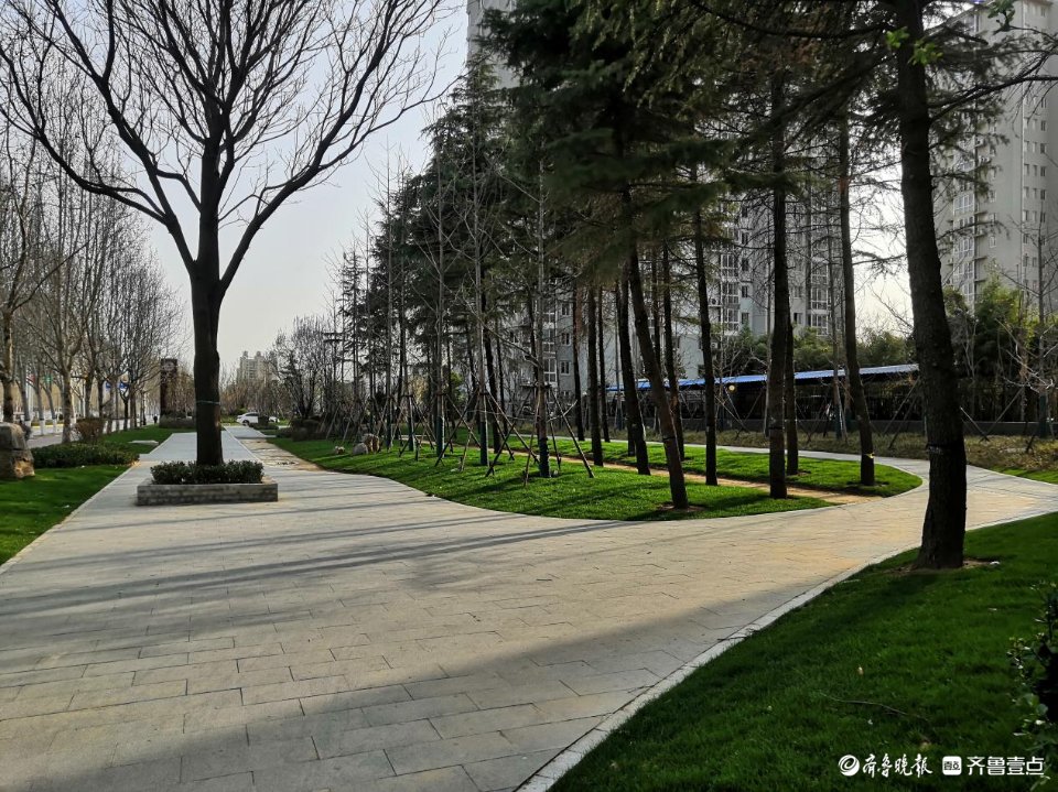 滕州市围绕“小切口”服务“大民生”