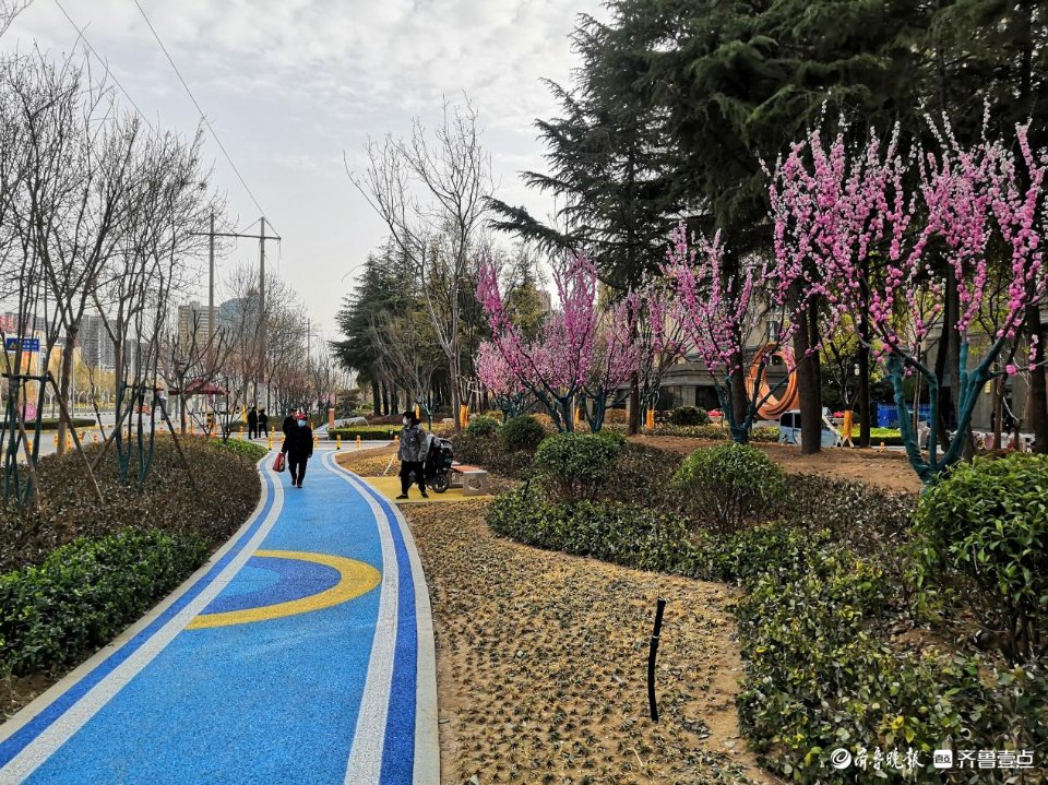 滕州市围绕“小切口”服务“大民生”