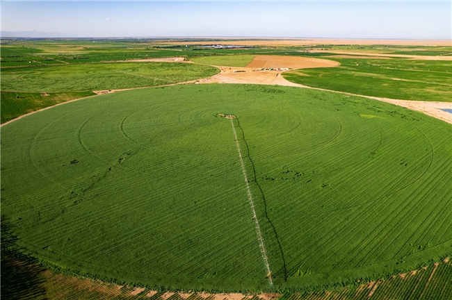 国际奥委会主席考文垂打卡蒙牛 携手打造体育、营养与绿色融合发展的世界级样本(图6)